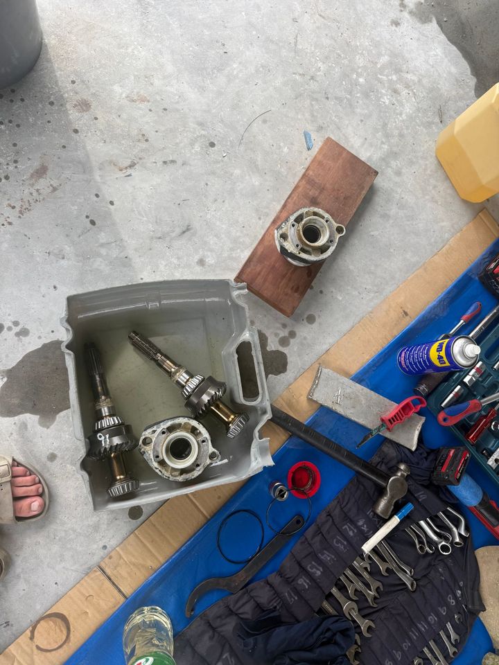 Gearbox shafts and bearings laid out in a tray